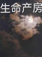 生命之源素描